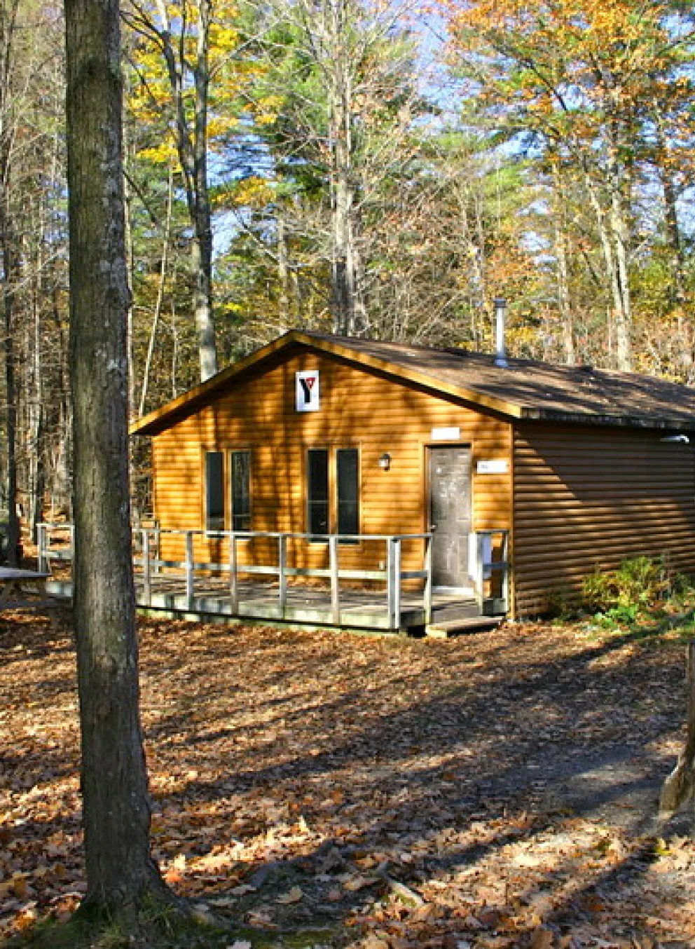 A cabin nestled amongst trees.