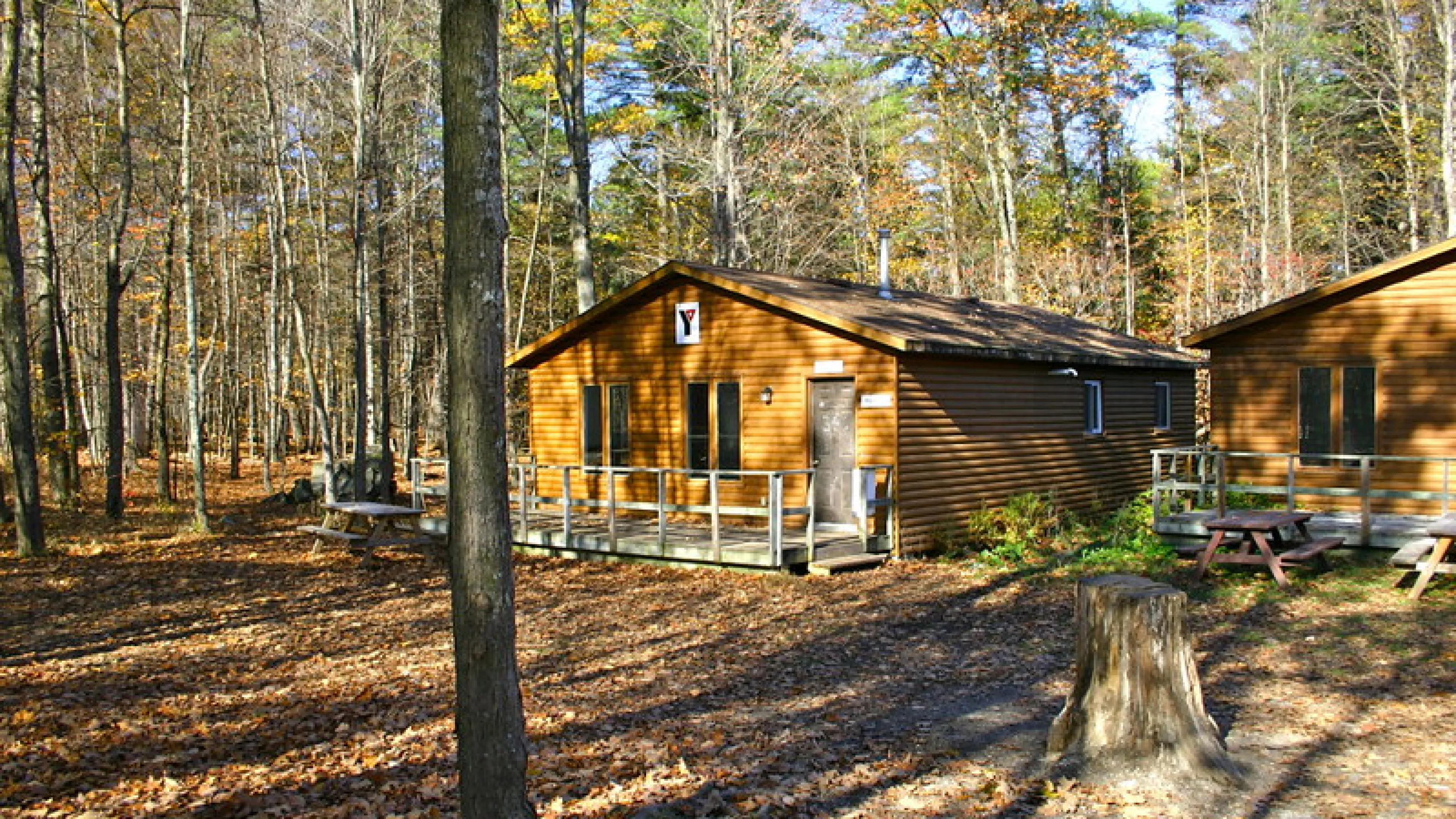A cabin nestled amongst trees.