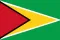 Guyana flag